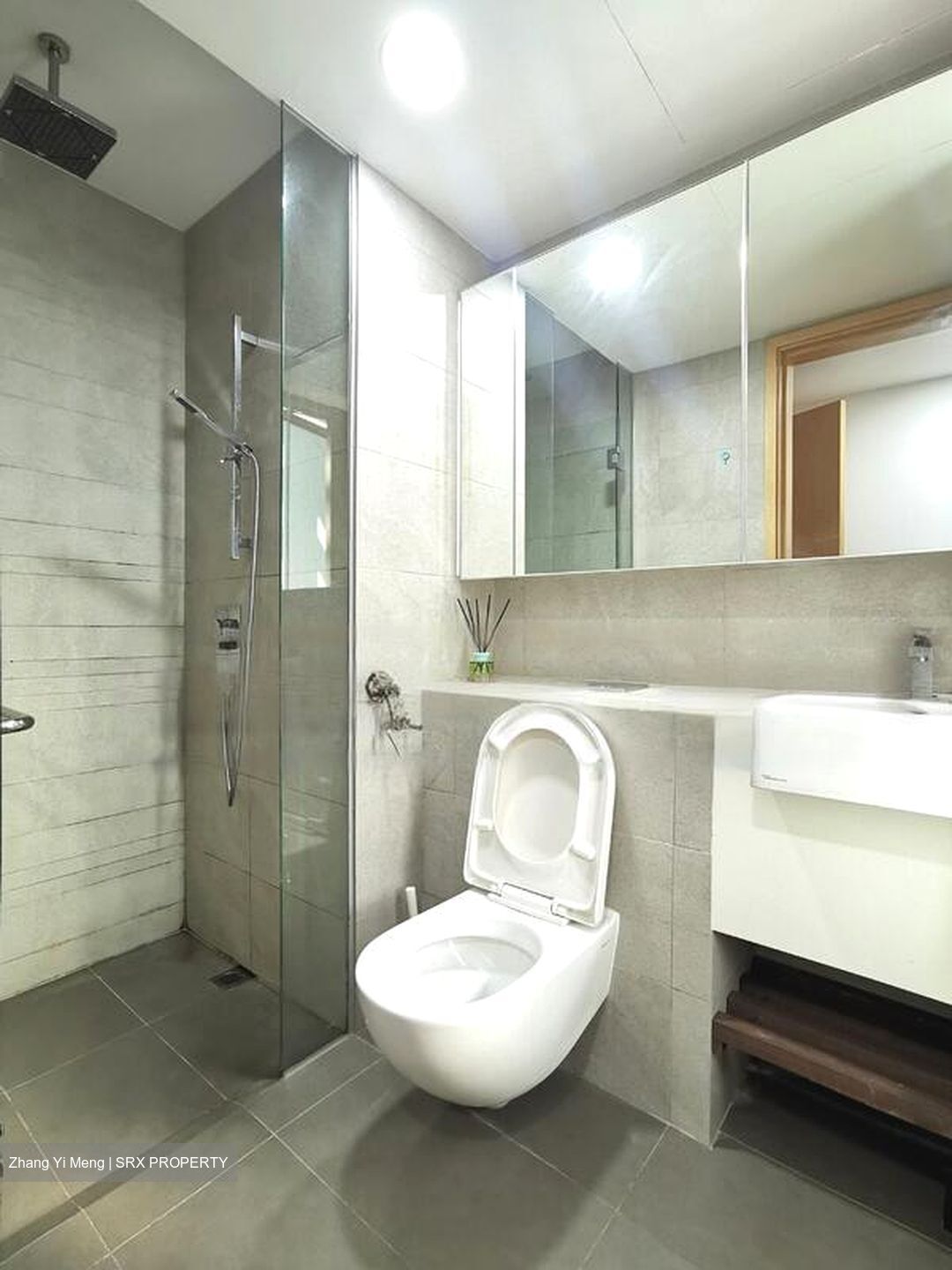 Eight Riversuites (D12), Condominium #467009351